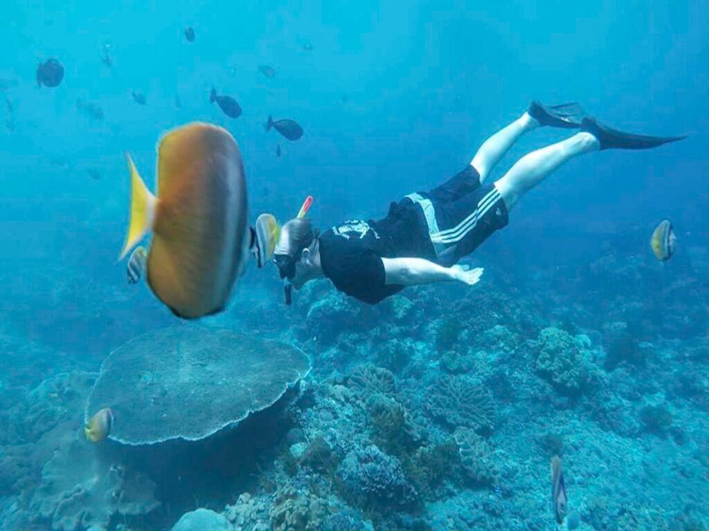 Nusa Penida Snorkeling