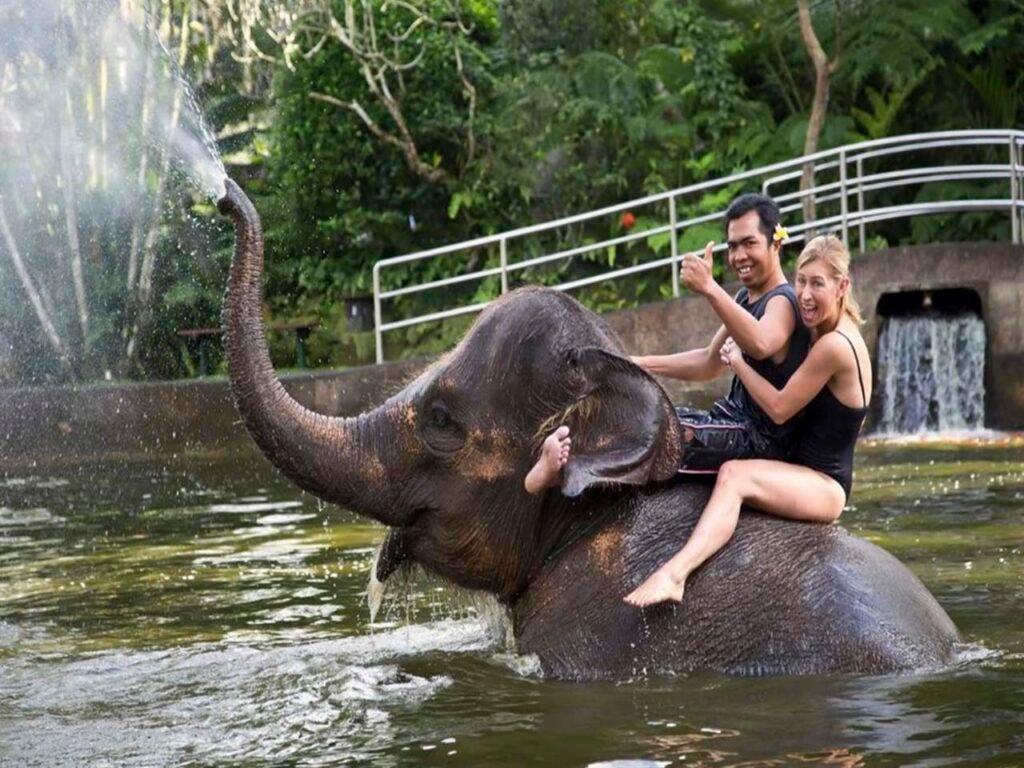 Taro elephant sanctuary