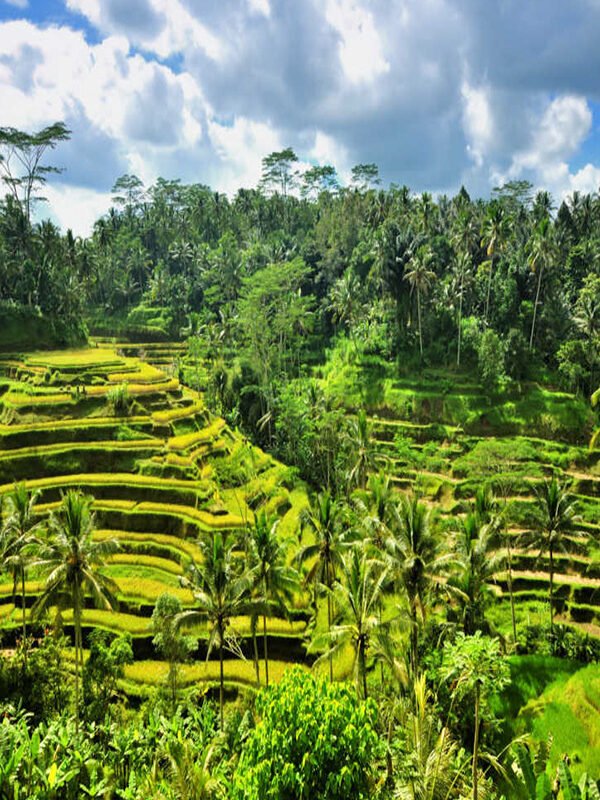 Ubud